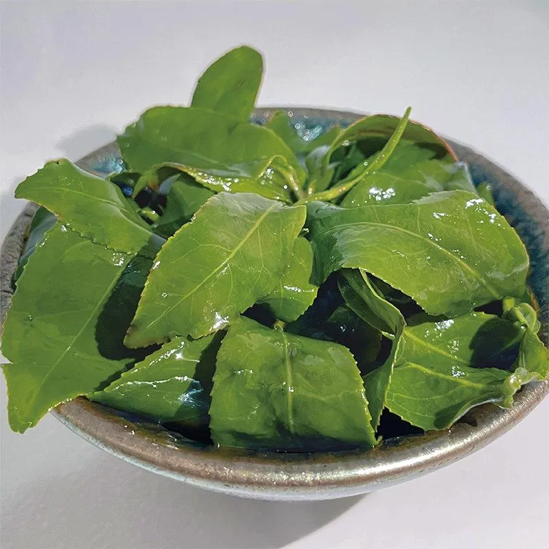 고산우롱차 고산차 차 우롱차 특급 콜드브루 꽃향 우롱티 우롱 우롱차잎 TEA 3