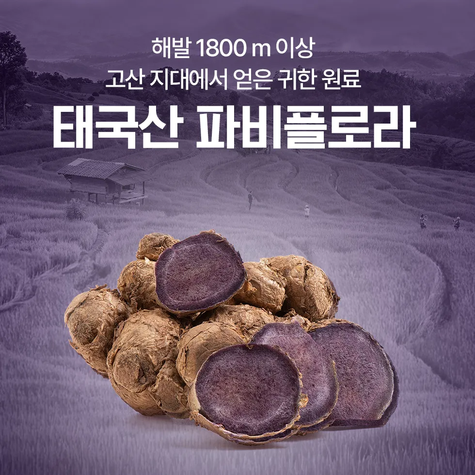 [84포] 동국제약 마이핏 저당 파비플로라 알파CD 생강뿌리농축액 알파시클로덱스트린 28포, 3개 2