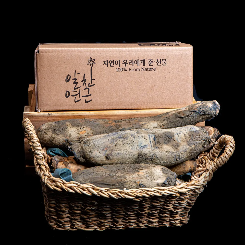 햇연근 무농약 흙연근 슬라이스 말린연근 2