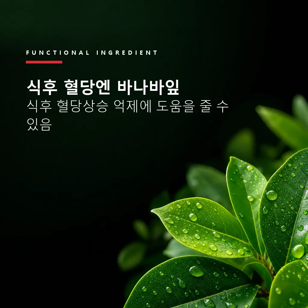 8+4 유산균포케어 장까지가는 유산균 혈당 예민한장에 좋은 당케어 30포, 12개 4